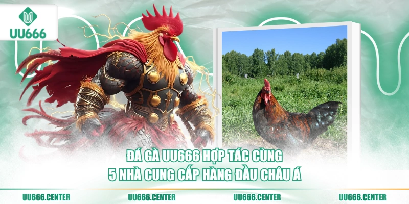 da-ga-uu666-hop-tac-cung-5-nha-cung-cap-hang-dau-chau-a
